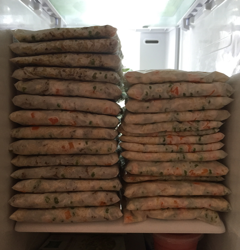 Two weeks of frozen homemade dog food!