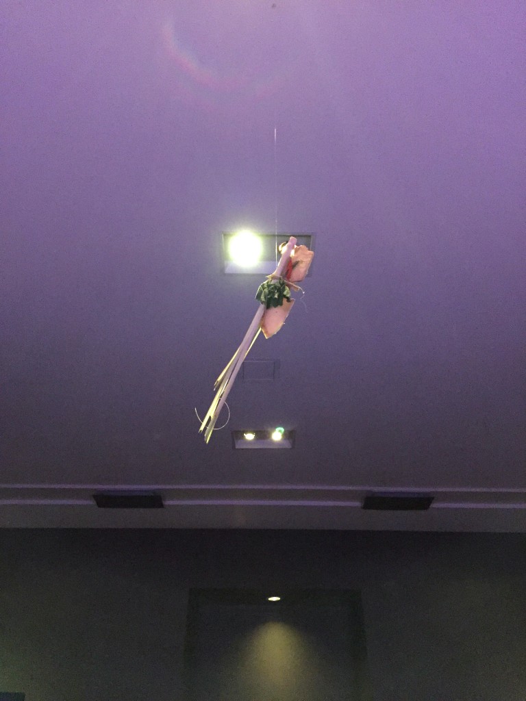Mysterious items hanging from the ceiling